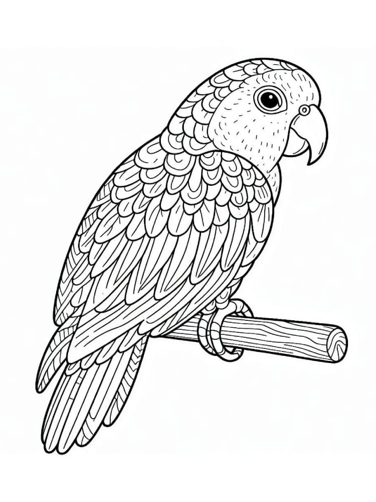 Desenho gratuito Papagaio #217780 da colecao Animais para imprimir