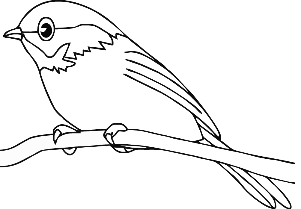 Página para colorir: pássaros (animais) #11840 - Páginas para Colorir Imprimíveis Gratuitamente