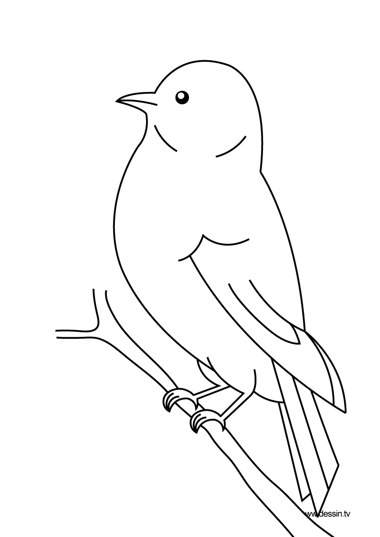 Página para colorir: pássaros (animais) #11844 - Páginas para Colorir Imprimíveis Gratuitamente