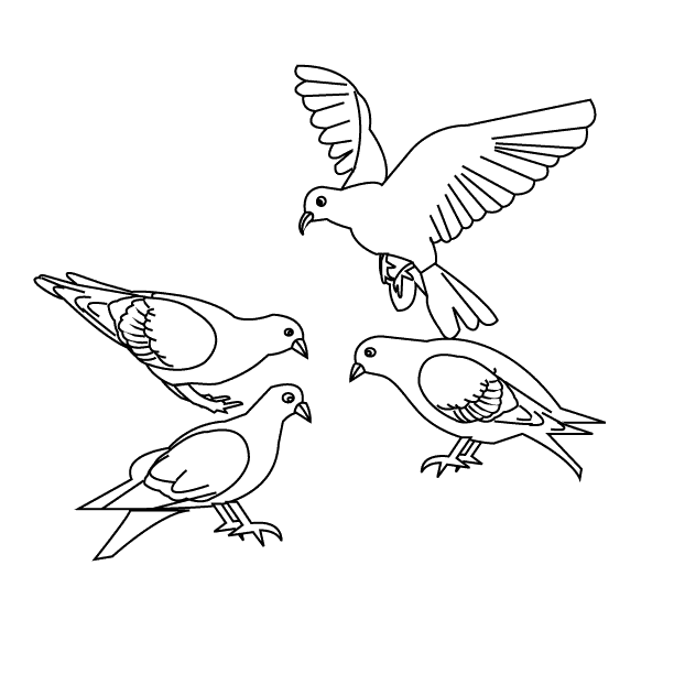 Página para colorir: pássaros (animais) #11856 - Páginas para Colorir Imprimíveis Gratuitamente