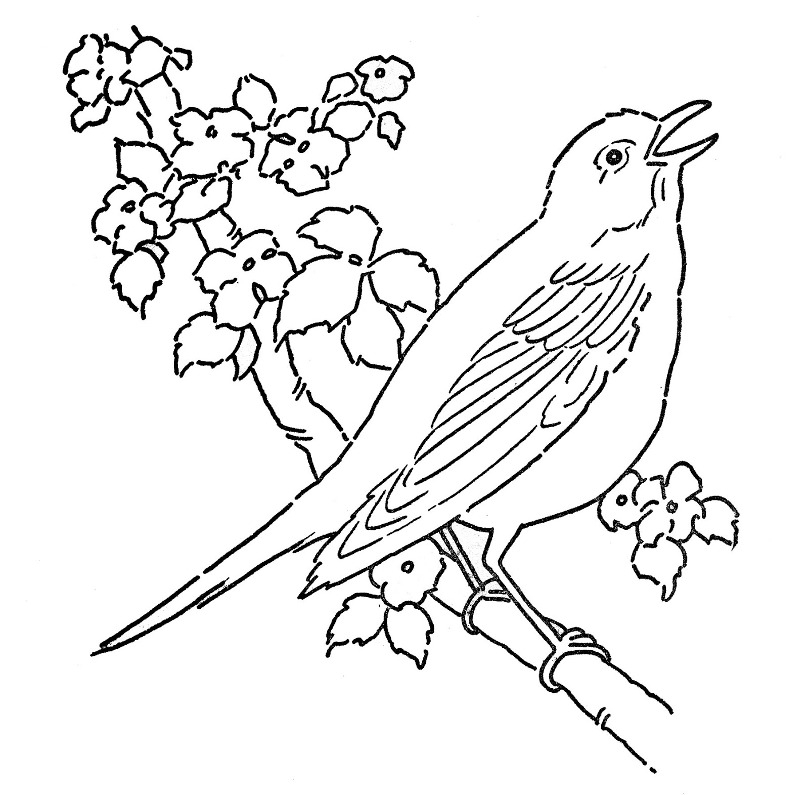Página para colorir: pássaros (animais) #11883 - Páginas para Colorir Imprimíveis Gratuitamente