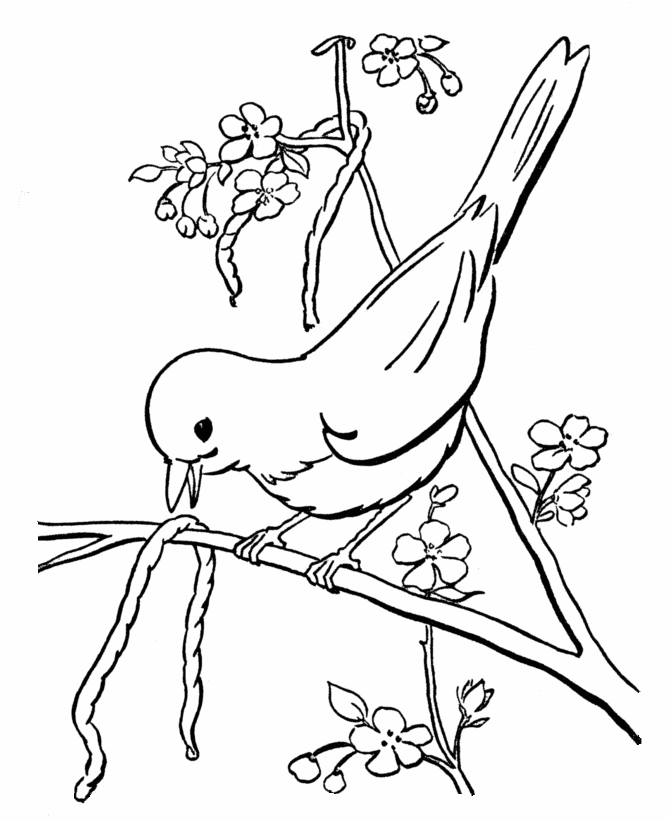Página para colorir: pássaros (animais) #11885 - Páginas para Colorir Imprimíveis Gratuitamente