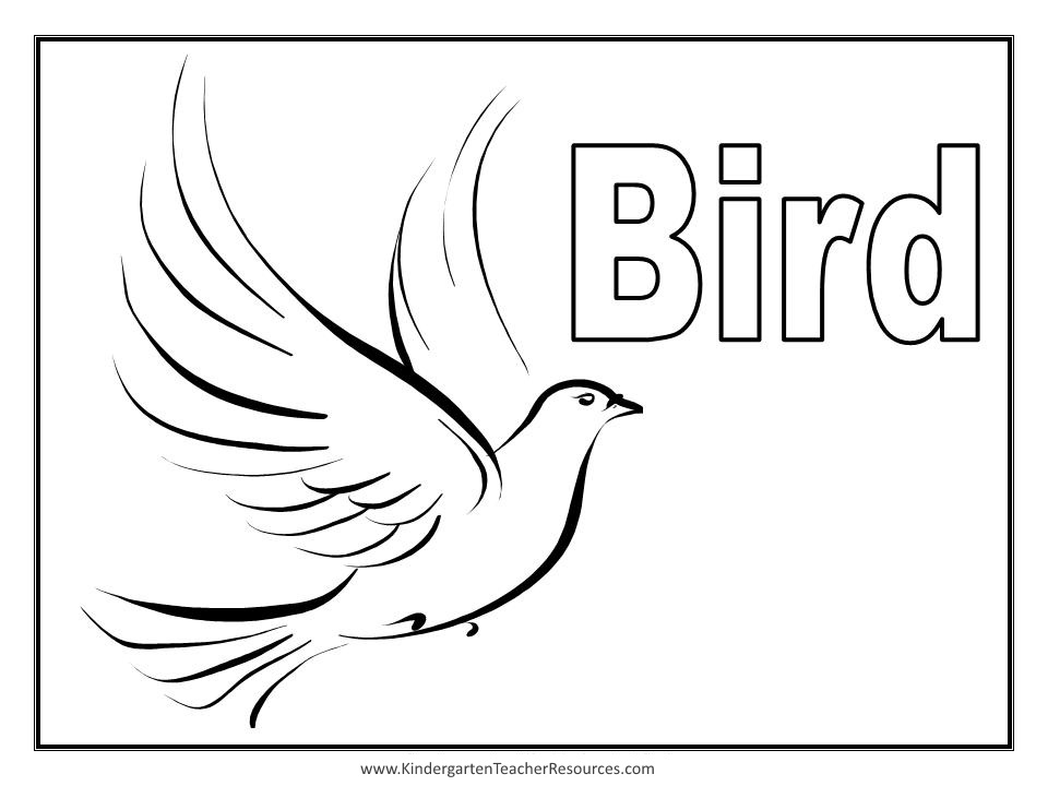 Página para colorir: pássaros (animais) #11907 - Páginas para Colorir Imprimíveis Gratuitamente