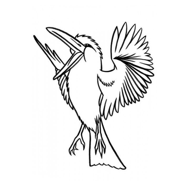 Página para colorir: pássaros (animais) #11911 - Páginas para Colorir Imprimíveis Gratuitamente