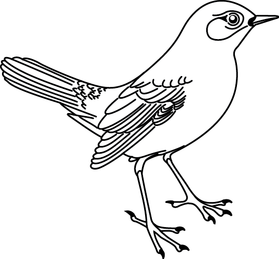Página para colorir: pássaros (animais) #11913 - Páginas para Colorir Imprimíveis Gratuitamente
