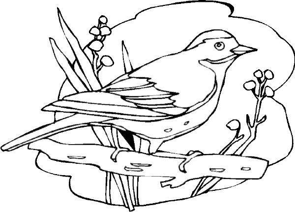 Página para colorir: pássaros (animais) #11921 - Páginas para Colorir Imprimíveis Gratuitamente