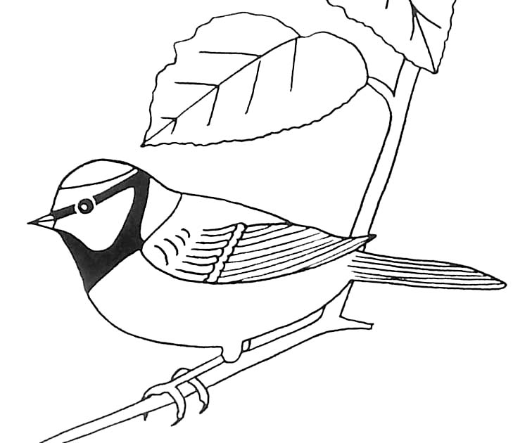 Página para colorir: pássaros (animais) #11960 - Páginas para Colorir Imprimíveis Gratuitamente