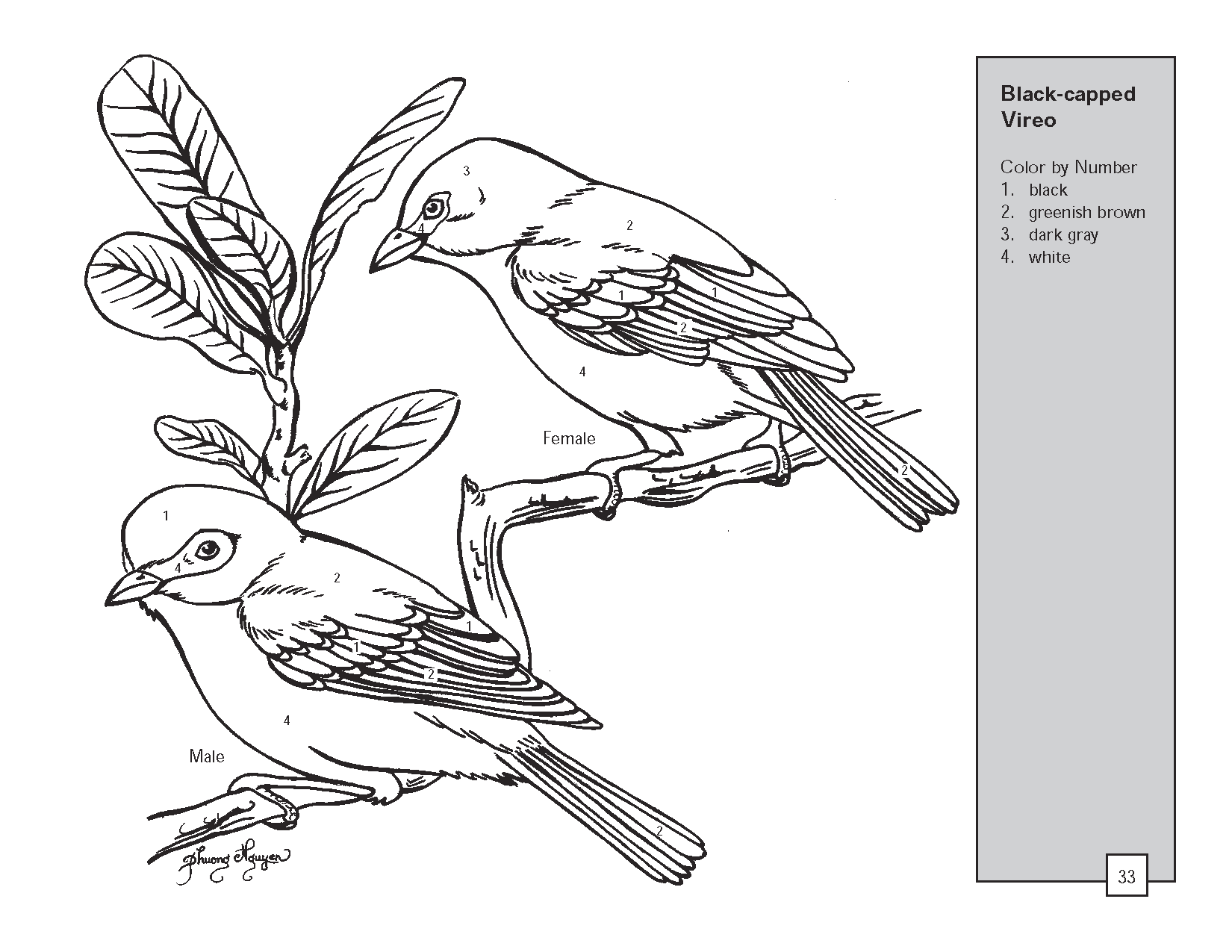 Página para colorir: pássaros (animais) #11981 - Páginas para Colorir Imprimíveis Gratuitamente