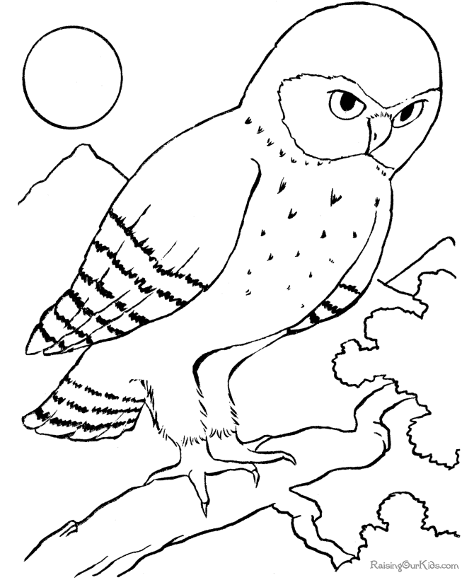 Página para colorir: pássaros (animais) #11990 - Páginas para Colorir Imprimíveis Gratuitamente