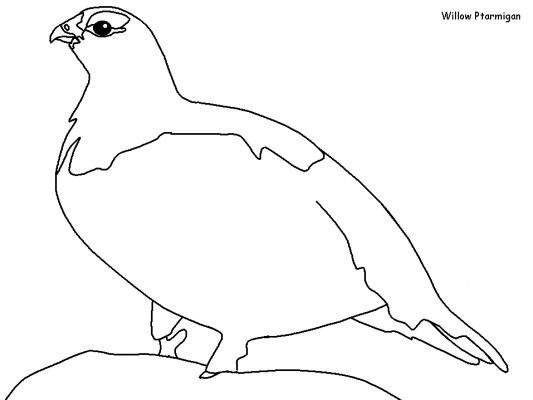 Página para colorir: pássaros (animais) #11991 - Páginas para Colorir Imprimíveis Gratuitamente