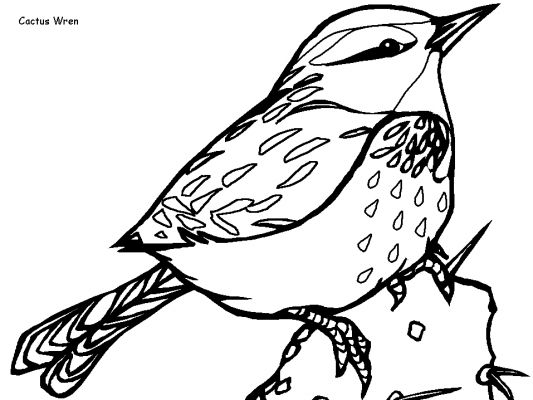 Página para colorir: pássaros (animais) #12026 - Páginas para Colorir Imprimíveis Gratuitamente