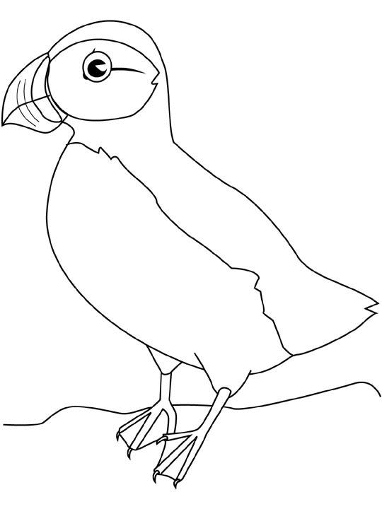 Página para colorir: pássaros (animais) #12098 - Páginas para Colorir Imprimíveis Gratuitamente