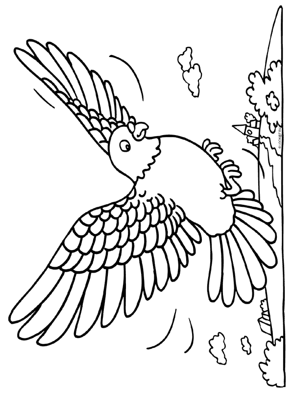 Página para colorir: pássaros (animais) #12132 - Páginas para Colorir Imprimíveis Gratuitamente