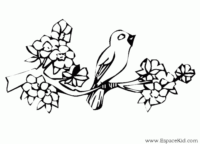Página para colorir: pássaros (animais) #12147 - Páginas para Colorir Imprimíveis Gratuitamente