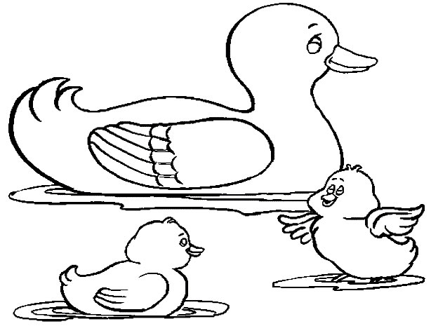 Página para colorir: Pato (animais) #1445 - Páginas para Colorir Imprimíveis Gratuitamente