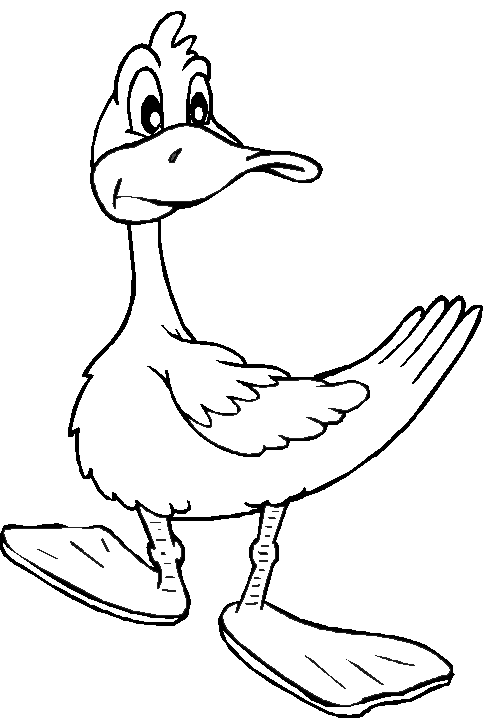 Página para colorir: Pato (animais) #1460 - Páginas para Colorir Imprimíveis Gratuitamente