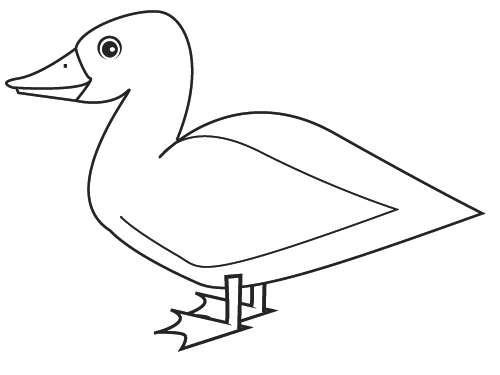 Página para colorir: Pato (animais) #1492 - Páginas para Colorir Imprimíveis Gratuitamente