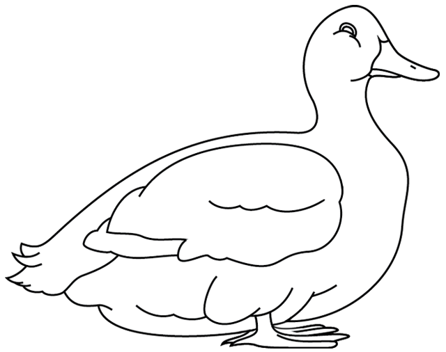 Página para colorir: Pato (animais) #1503 - Páginas para Colorir Imprimíveis Gratuitamente