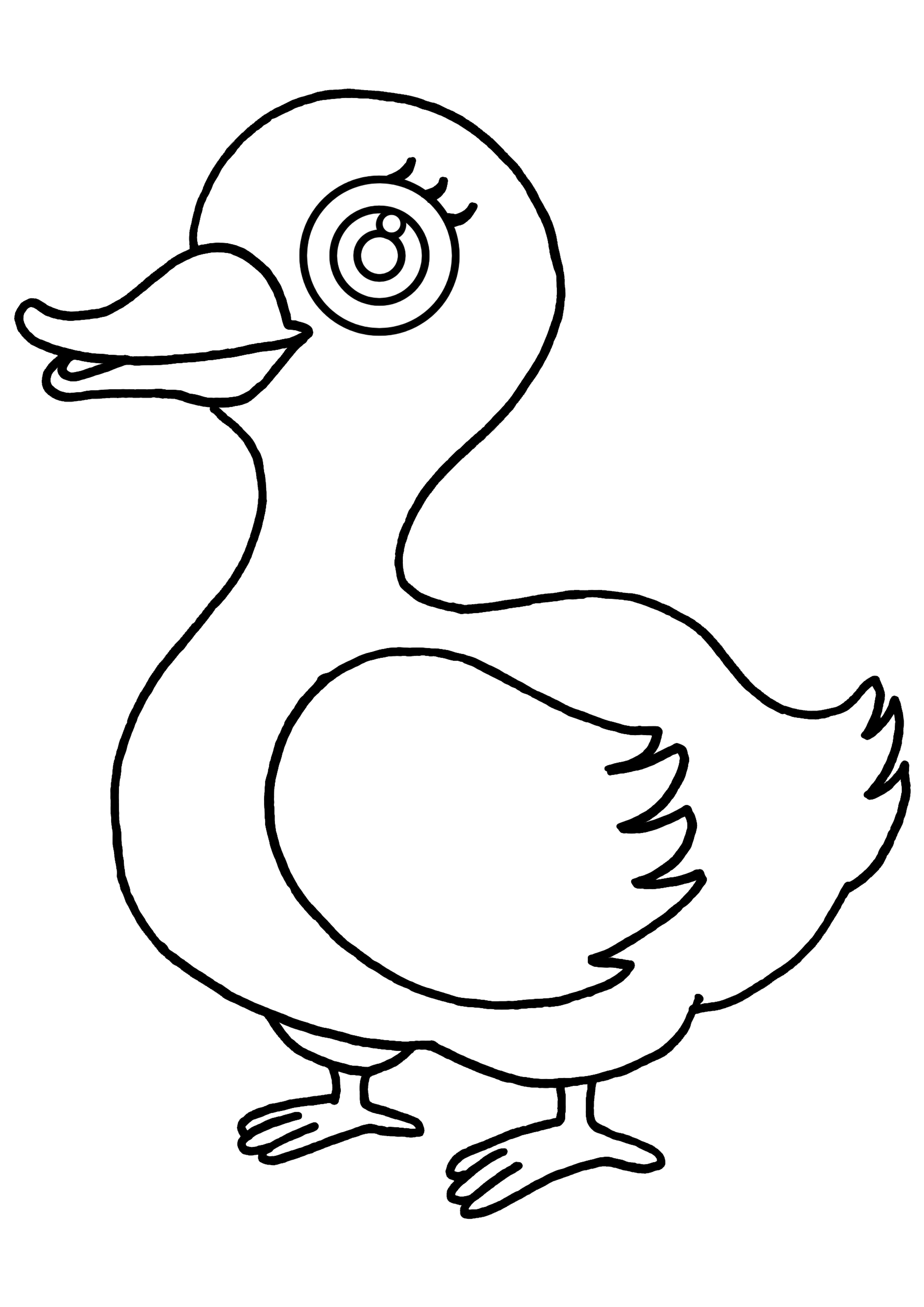 Página para colorir: Pato (animais) #1507 - Páginas para Colorir Imprimíveis Gratuitamente