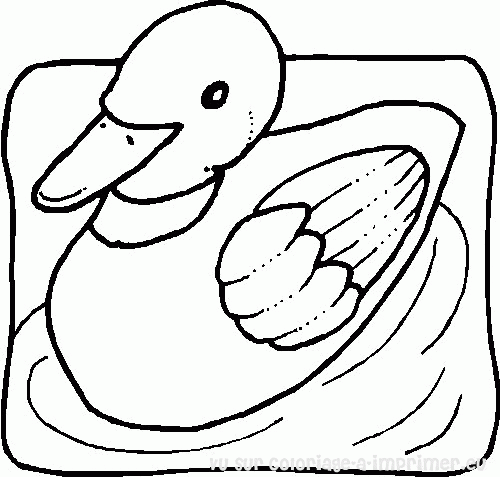 Página para colorir: Pato (animais) #1508 - Páginas para Colorir Imprimíveis Gratuitamente