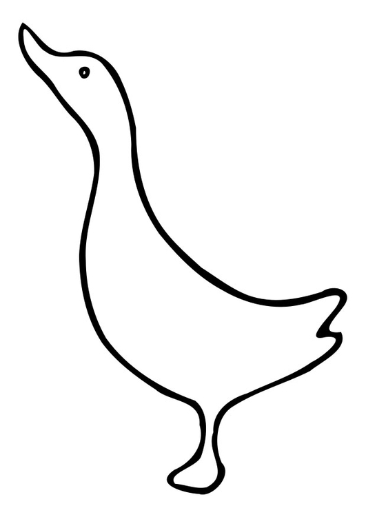 Página para colorir: Pato (animais) #1514 - Páginas para Colorir Imprimíveis Gratuitamente
