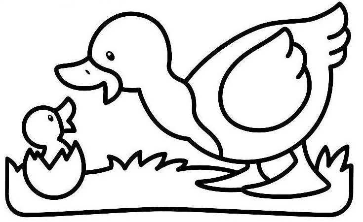 Página para colorir: Pato (animais) #1516 - Páginas para Colorir Imprimíveis Gratuitamente