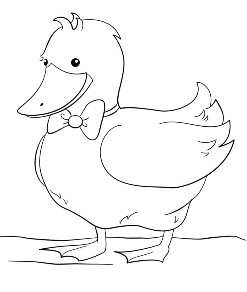 Desenho gratuito Pato #185515 da colecao Animais para imprimir