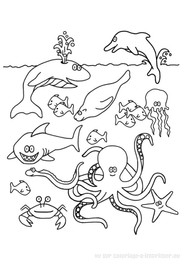 Página para colorir: Peixe (animais) #17036 - Páginas para Colorir Imprimíveis Gratuitamente
