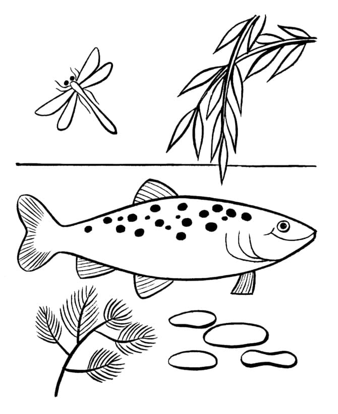 Desenho gratuito Peixe #175177 da colecao Animais para imprimir