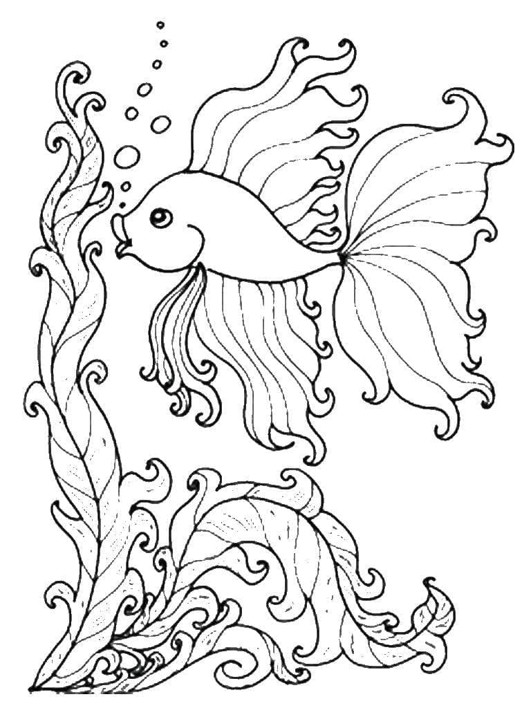Desenho gratuito Peixe Dourado #208312 da colecao Animais para imprimir