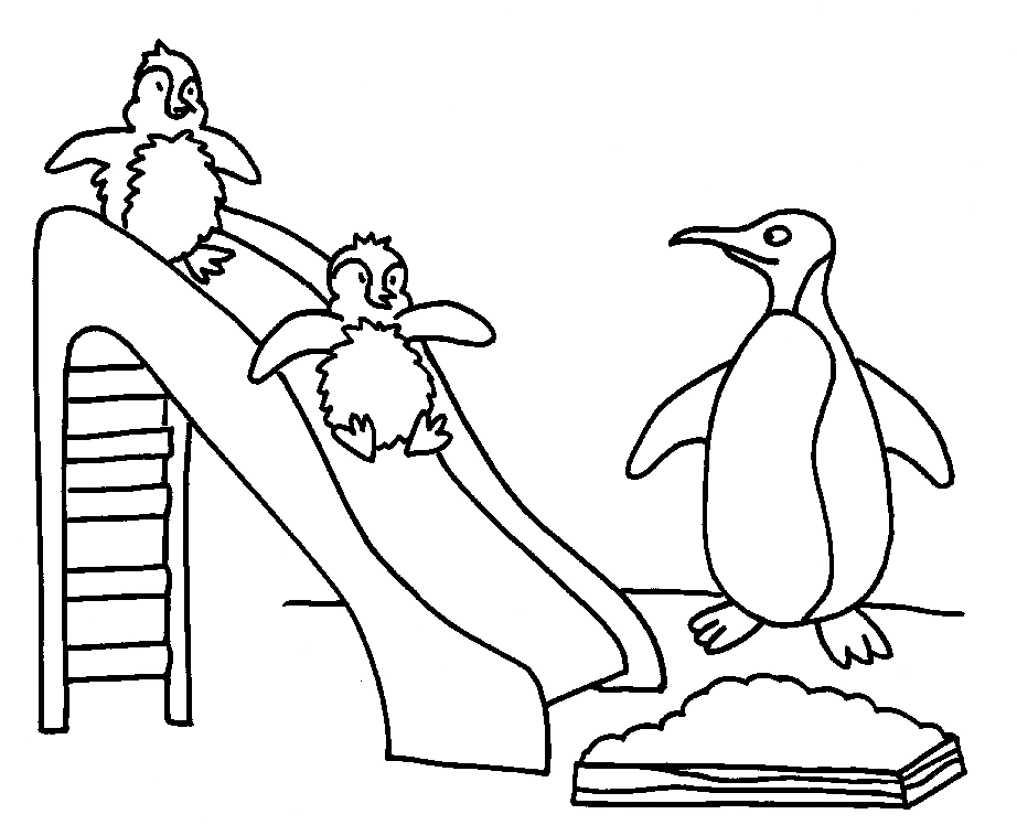 Página para colorir: Pinguim (animais) #16825 - Páginas para Colorir Imprimíveis Gratuitamente