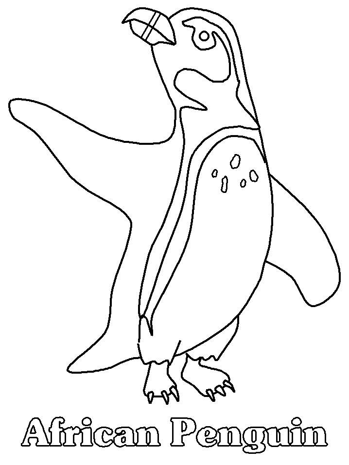 Página para colorir: Pinguim (animais) #16847 - Páginas para Colorir Imprimíveis Gratuitamente