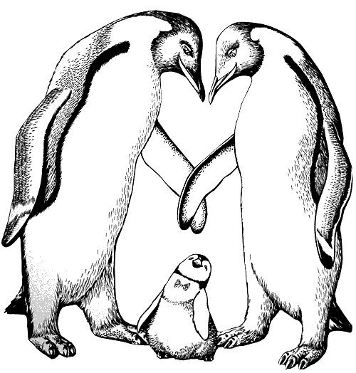 Página para colorir: Pinguim (animais) #16854 - Páginas para Colorir Imprimíveis Gratuitamente