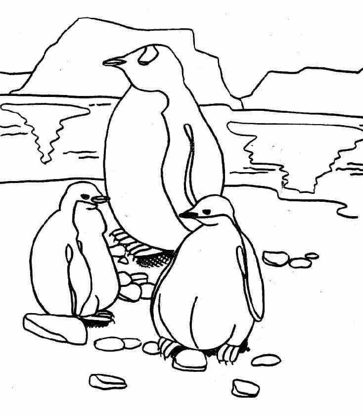 Página para colorir: Pinguim (animais) #16876 - Páginas para Colorir Imprimíveis Gratuitamente