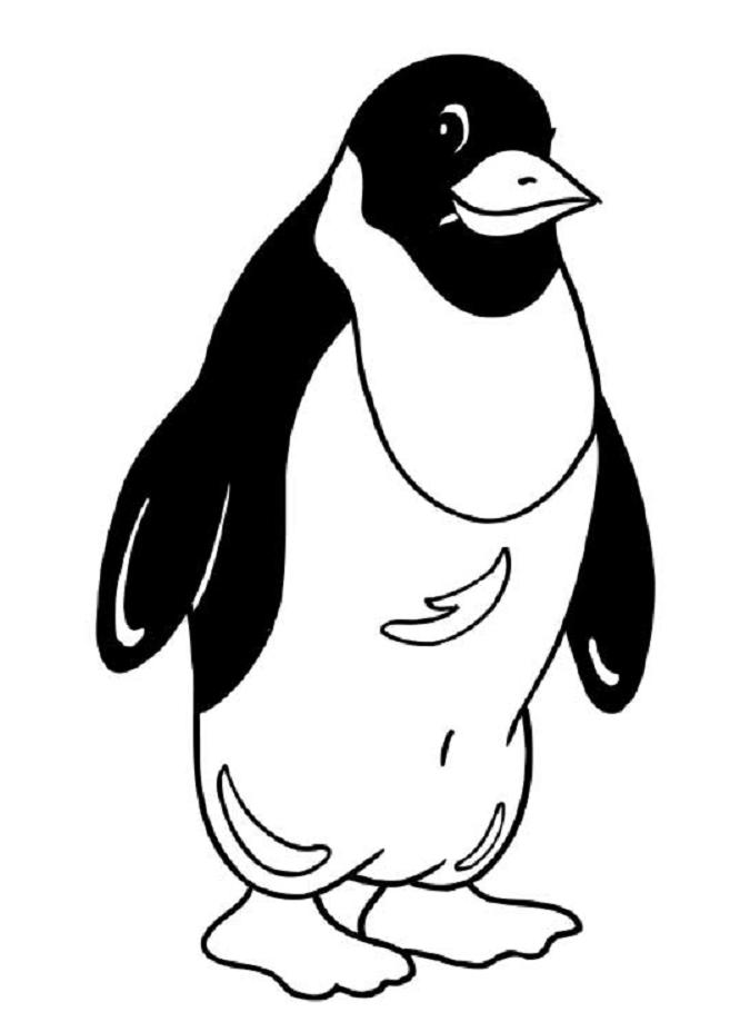 Página para colorir: Pinguim (animais) #16882 - Páginas para Colorir Imprimíveis Gratuitamente