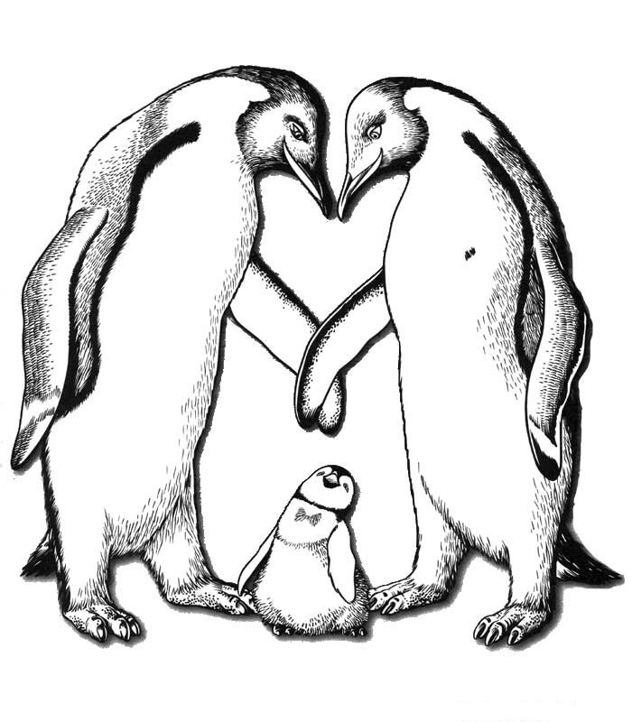 Página para colorir: Pinguim (animais) #16884 - Páginas para Colorir Imprimíveis Gratuitamente