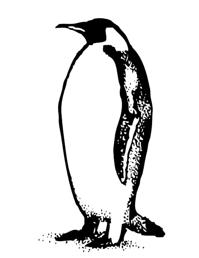 Página para colorir: Pinguim (animais) #16905 - Páginas para Colorir Imprimíveis Gratuitamente
