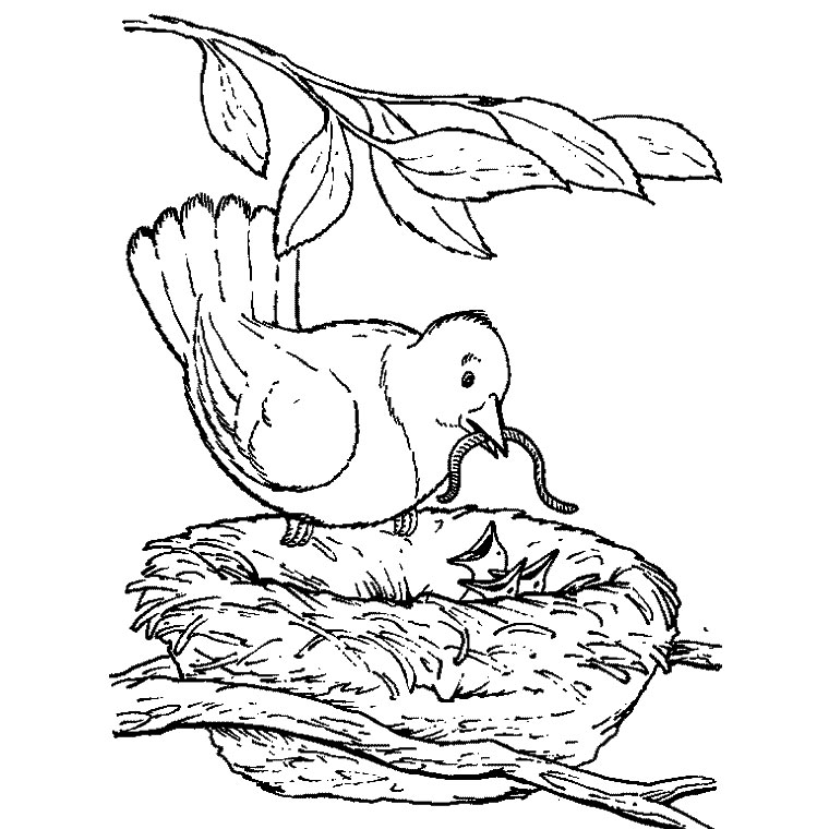 Desenho gratuito Pintinho #20146 da colecao Animais para imprimir Desenho gratuito Pintinho #20146 da colecao Animais para imprimir