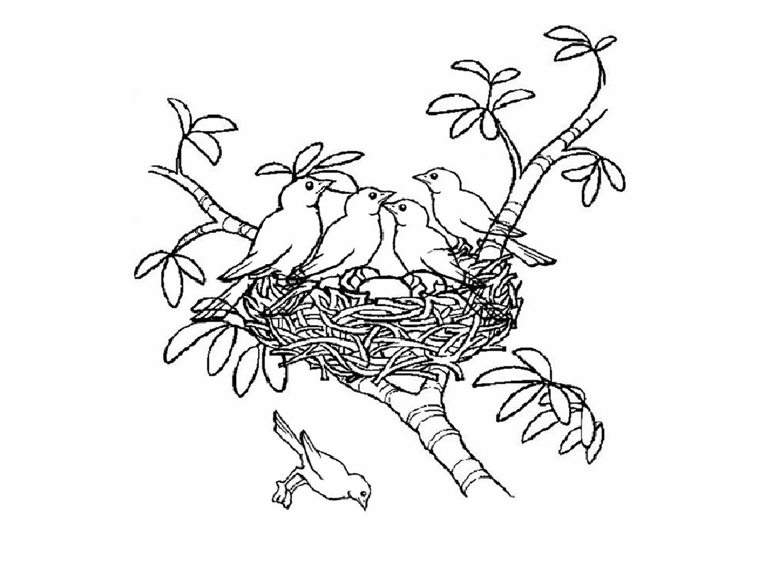 Desenho gratuito Pintinho #20308 da colecao Animais para imprimir Desenho gratuito Pintinho #20308 da colecao Animais para imprimir