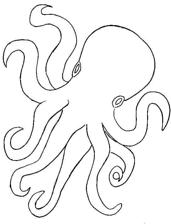 Desenho gratuito Polvo #194432 da colecao Animais para imprimir