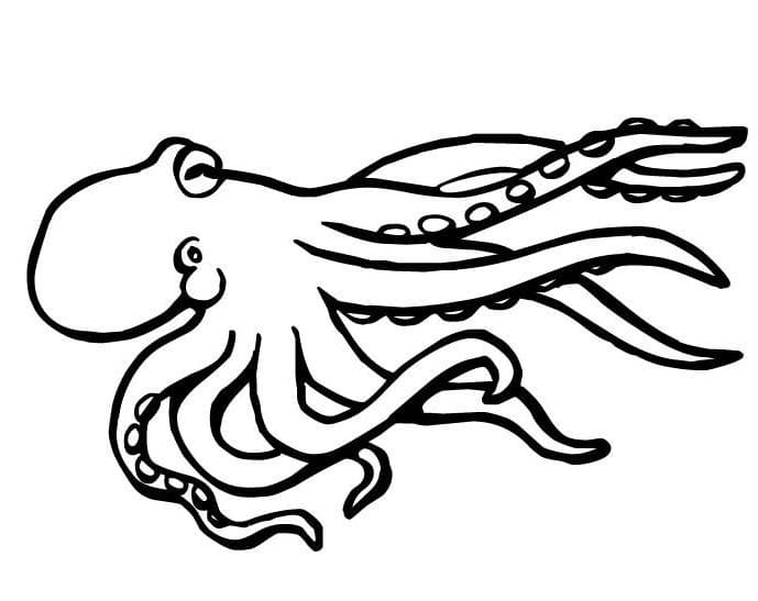 Linda página de Polvo #194441 para colorir, da coleção Animais, baixe grátis Linda página de Polvo #194441 para colorir, da coleção Animais, baixe grátis