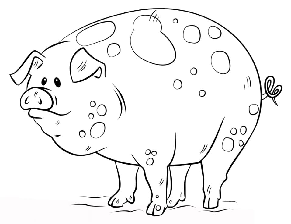 Desenho gratuito Porco #191177 da colecao Animais para imprimir