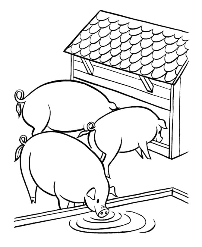Desenho gratuito Porco #191192 da colecao Animais para imprimir