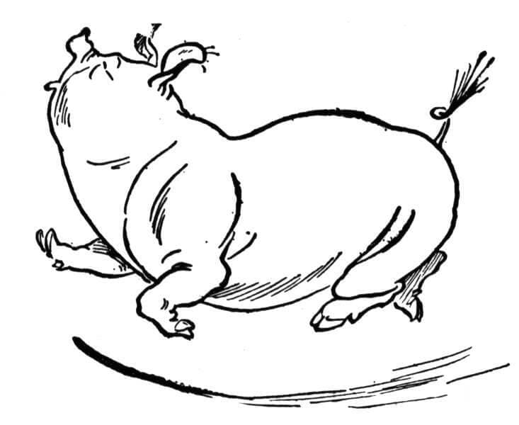 Desenho gratuito Porco #191196 da colecao Animais para imprimir