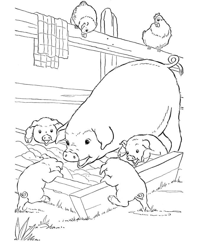 Desenho gratuito Porco #191198 da colecao Animais para imprimir