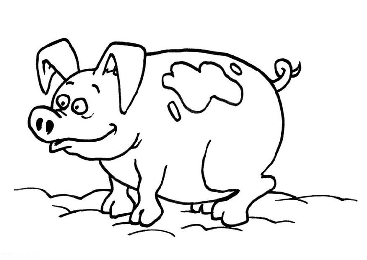 Página para colorir: Porco (animais) #3682 - Páginas para Colorir Imprimíveis Gratuitamente