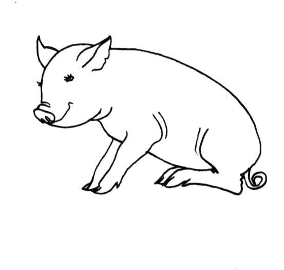 Página para colorir: Porco (animais) #3744 - Páginas para Colorir Imprimíveis Gratuitamente