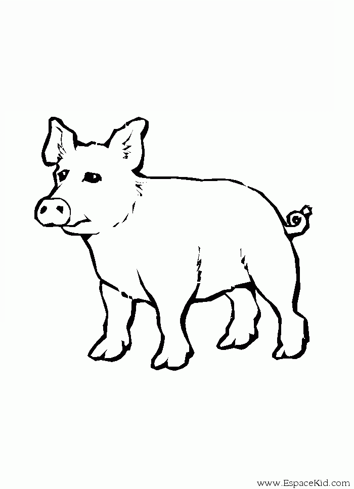 Página para colorir: Porco (animais) #3765 - Páginas para Colorir Imprimíveis Gratuitamente