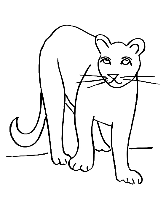 Página para colorir: Puma (animais) #4384 - Páginas para Colorir Imprimíveis Gratuitamente