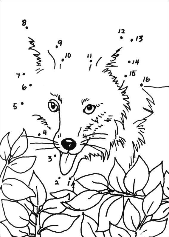 Página para colorir: Raposa (animais) #15142 - Páginas para Colorir Imprimíveis Gratuitamente